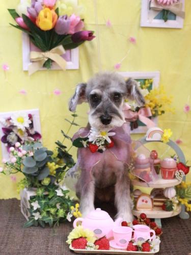 20230326ラーラちゃん